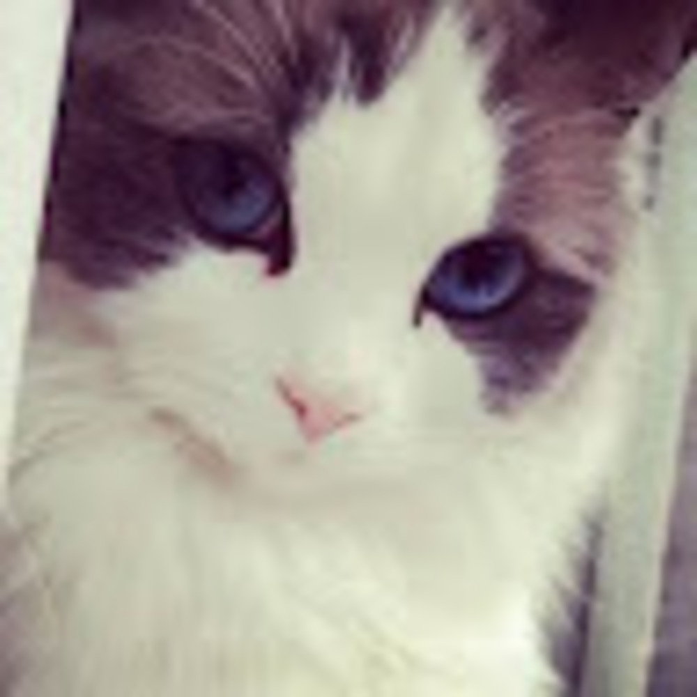 Meet your Posher, Cate